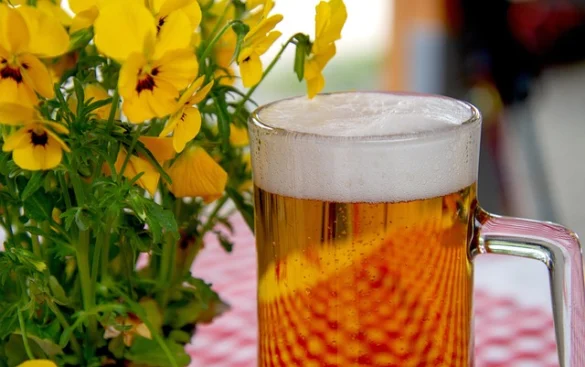 Los cinco mejores Biergartens de Berlín