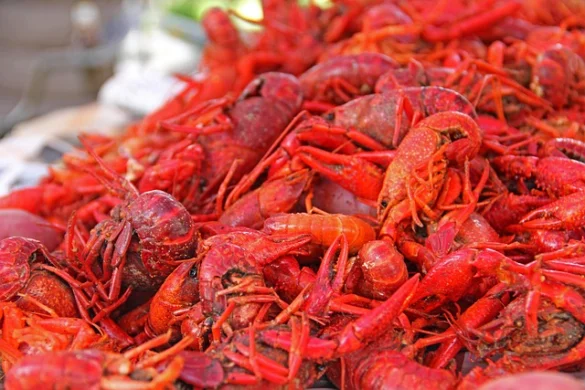 Los mejores 13 alimentos de Nueva Orleans que debe probar