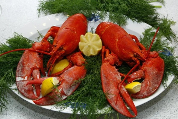 Los mejores lugares para comer langosta en Boston