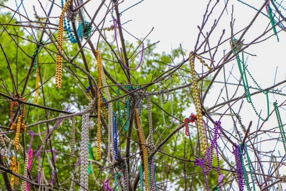 Mardi Gras en Nueva Orleans (FAQs)