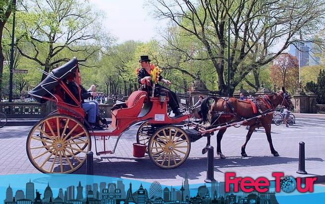 Mejores Tours de Caballos y Carruajes de Central Park en NYC