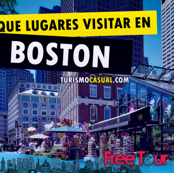 Museo de Historia Natural de Harvard ||| Actividades familiares en Boston Museo de Historia Natural de Harvard ||| Actividades familiares en Boston