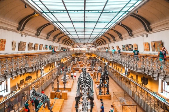 Museo de la Ciencia y la Industria Entradas y Descuentos