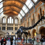 museos gratuitos en londres 150x150 - Museos gratuitos en Londres