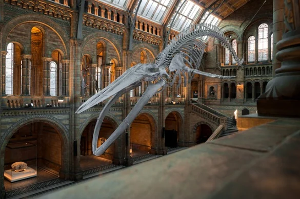 Museos gratuitos en San Francisco