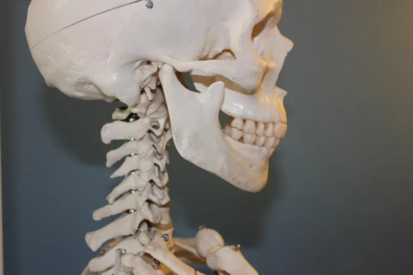 Museos Médicos en Londres