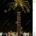 Navidad en Charleston Navidad en Charleston