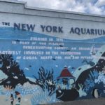 New York Aquarium | Días libres y entradas con descuento