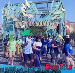 new york aquarium dias libres y entradas con descuento 8 300x292 - New York Aquarium | Días libres y entradas con descuento
