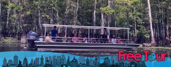 paseos en airboat en nueva orleans - Reseñas del Swamp Tour de Nueva Orleans