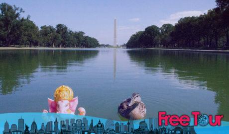 Qué hacer en DC en noviembre Qué hacer en DC en noviembre