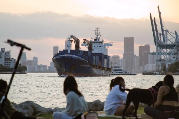 Qué hacer en Miami en noviembre