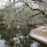 Qué hacer en Nueva Orleans en septiembre Qué hacer en Nueva Orleans en septiembre