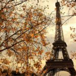 Qué hacer en París en noviembre