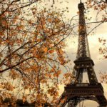 Qué hacer en París en noviembre Qué hacer en París en noviembre