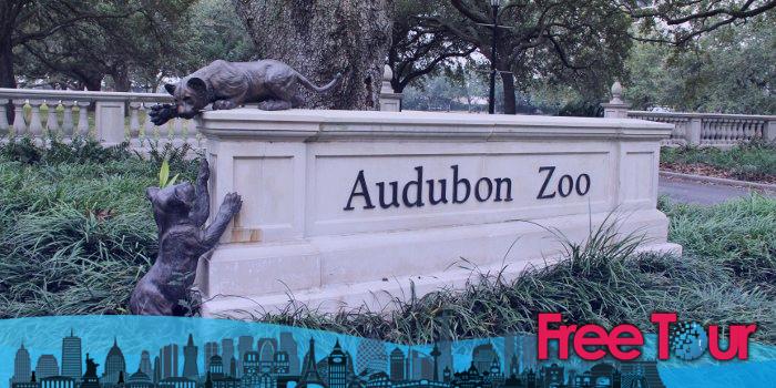 Qué ver en el zoológico de Audubon en Nueva Orleans
