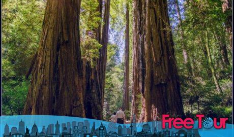 Reseñadas las visitas guiadas de San Francisco a Muir Woods