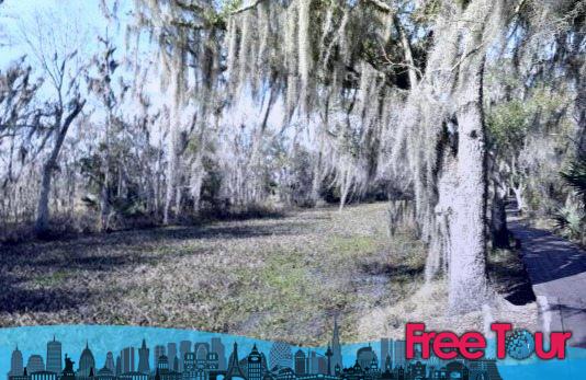 resenas del swamp tour de nueva orleans 6 - Cosas que hacer con los niños en Nueva Orleans