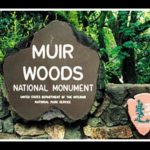 Reservas de aparcamiento en Muir Woods Reservas de aparcamiento en Muir Woods
