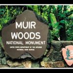 Reservas de aparcamiento en Muir Woods