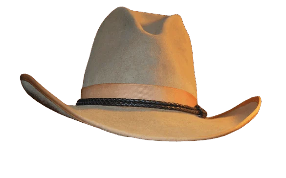 Sólo un vaquero de Times Square