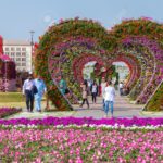 su-guia-del-jardin-milagroso-de-dubai flower-park