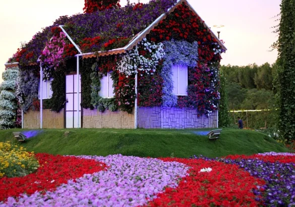 Su guía del Jardín Milagroso de Dubai