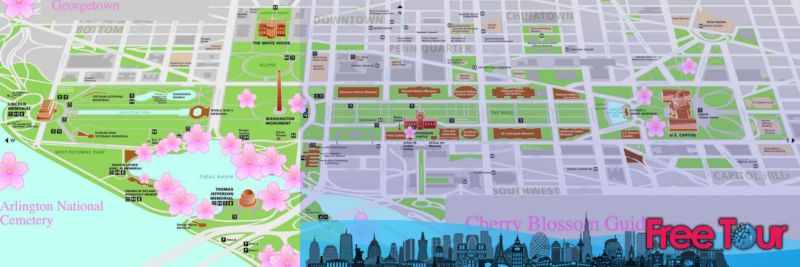 The Only Cherry Blossom Festival Guide &amp; Map You Need[2019] (La única guía y mapa del festival del cerezo en flor)