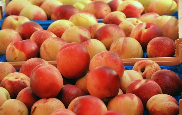 Tour del Mercado de Comida de Borough