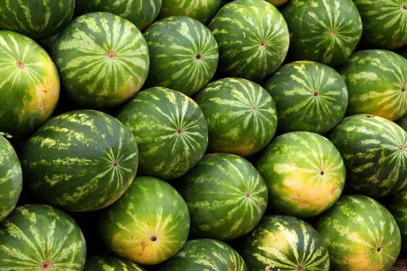 Tour del Mercado de Comida de Borough