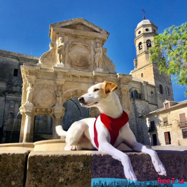 Tours de Encuentros Cajunos: Plantaciones, pantanos y la ciudad Tours de Encuentros Cajunos: Plantaciones, pantanos y la ciudad