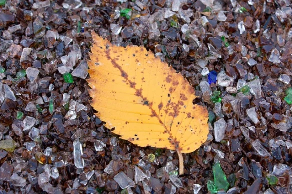 Una guía completa de Chicago en el otoño