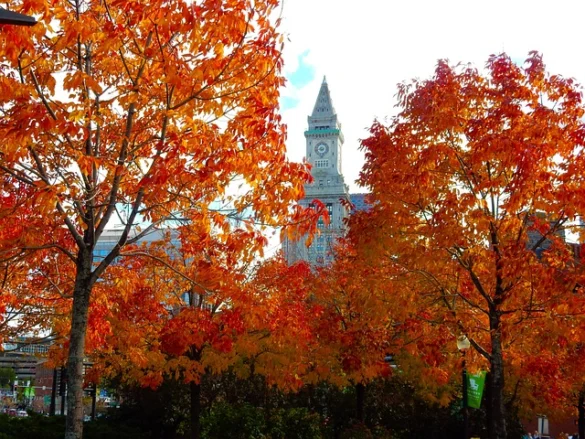 Una guía de Boston en el otoño