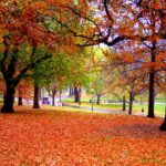 Una guía de Boston en el otoño Una guía de Boston en el otoño