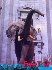 Visita al Museo Smithsonian de Historia Natural en DC