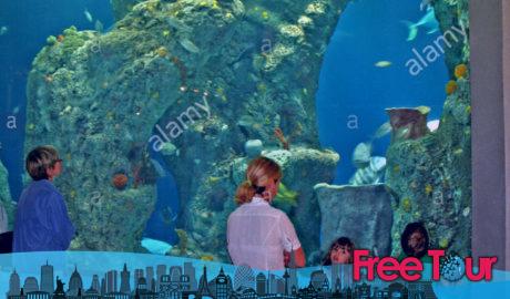 Visite el Acuario de Carolina del Sur Visite el Acuario de Carolina del Sur