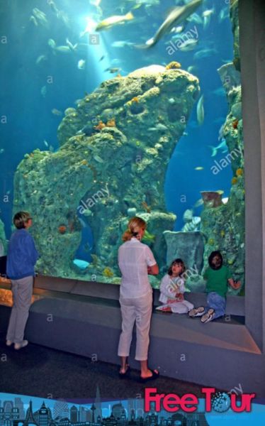 Visite el Acuario de Carolina del Sur Visite el Acuario de Carolina del Sur