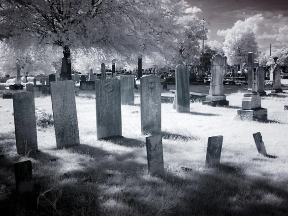 Visite el Cementerio Green-wood en Brooklyn