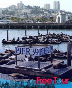 visite el fisherman s wharf de san francisco 7 244x300 - Visite el Fisherman's Wharf de San Francisco