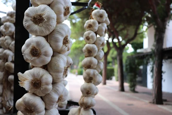 Visite el mercado italiano en Filadelfia