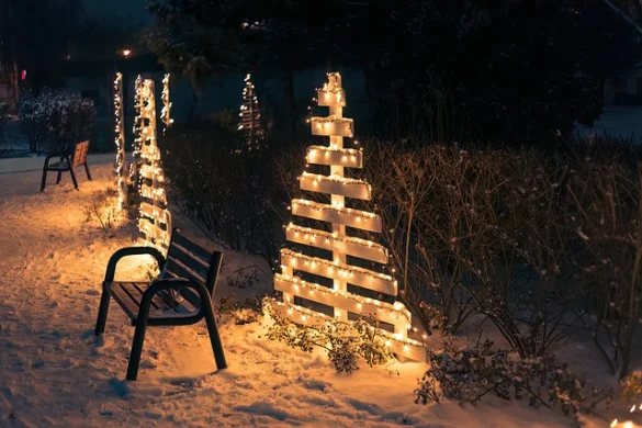 Visite el Árbol Nacional de Navidad y la Ceremonia de Iluminación