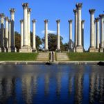 Washington DC para los amantes de la naturaleza Washington DC para los amantes de la naturaleza