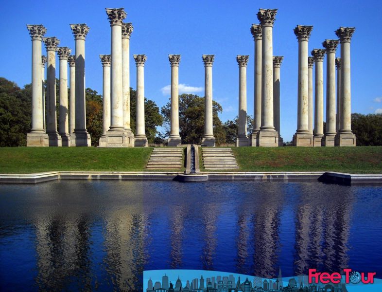 Washington DC para los amantes de la naturaleza Washington DC para los amantes de la naturaleza