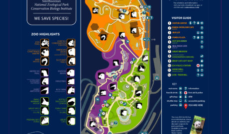 London-Zoo-Map